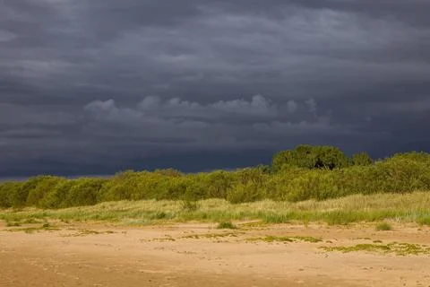 Dramatic landscape with a sandy foreground and a line of trees against a stor Stock Photos