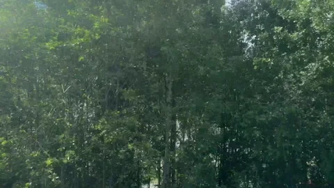 A dramatic landscape showcasing heavy clouds mirrored on the still waters Stock Footage 314075067