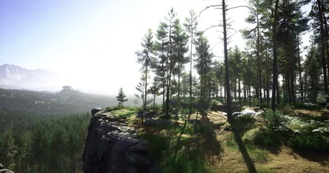 Dramatic landscape of sunlit pines overlooking distant mountains in spring Stock Footage 324720435