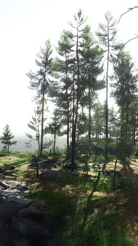 Dramatic landscape of sunlit pines overlooking distant mountains in spring Stock Footage 329174648