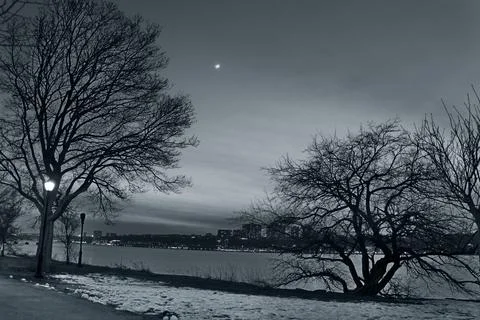 Dramatic Landscape with trees, black and white scenery Stock Photos
