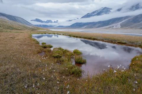 Dramatic landscape of wild, remote valley in the far north on a cloudy, rainy Stock Photos