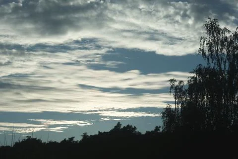 Dramatic layered clouds glow above a dark treeline beneath a moody evening sk Stock Photos