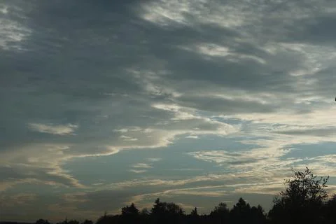 Dramatic layered clouds spread across an evening sky above a silhouetted tr.. Stock Photos