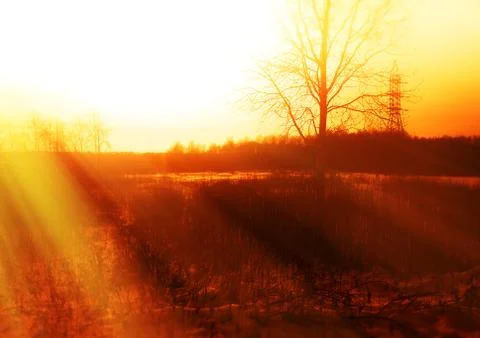 Dramatic light leak over generic forest landscape background Stock Photos