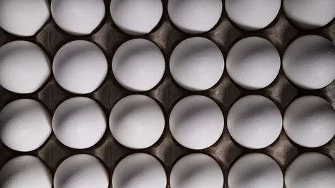 Dramatic light reveals pristine eggs, highlighting their texture and premium Vídeo Stock 318850366