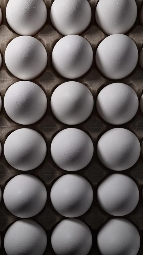 Dramatic light reveals pristine eggs, highlighting their texture and premium 動画素材 319493708
