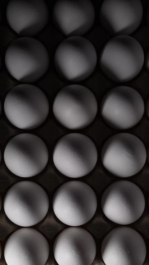 Dramatic light reveals pristine eggs, highlighting their texture and premium 動画素材 319493710