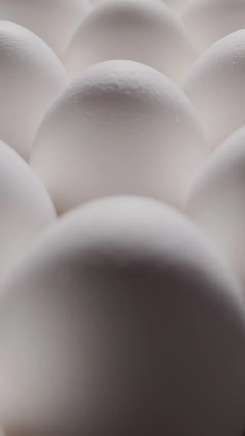 Dramatic light reveals pristine eggs, highlighting their texture and premium Stock Footage 319493712