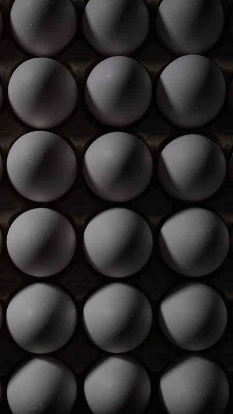 Dramatic light reveals pristine eggs, highlighting their texture and premium 動画素材 319493725