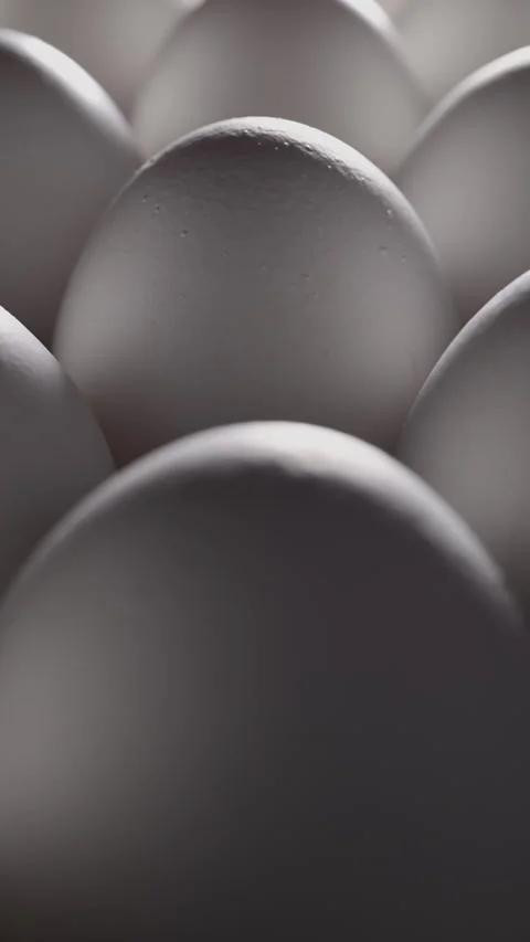 Dramatic light reveals pristine eggs, highlighting their texture and premium Vídeos de archivo 319493807