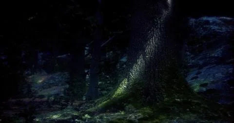 Dramatic lighting highlights textured tree trunk in a dark forest environment Stock Illustration