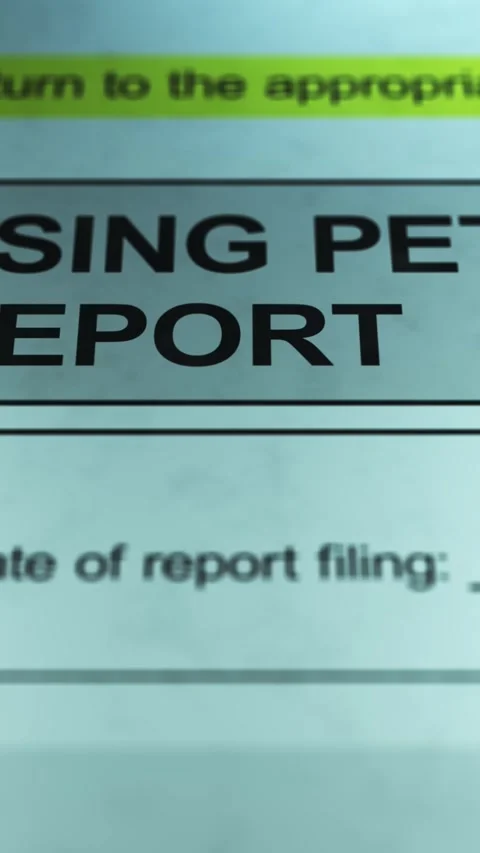 Dramatic Lighting over Generic Missing Pet Report Form - Vertical Stock Footage 328508562
