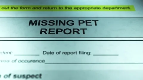 Dramatic Lighting over Generic Missing Pet Report Form Stock Footage 328508567