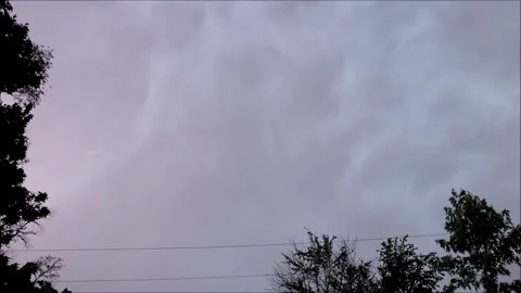Dramatic Lightning Bolt Flashes Over Dark Forest Tree Canopy At Night Vídeo Stock 335849530