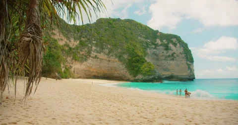 Dramatic limestone cliffs loom over sandy Kelingking Beach in Nusa Penida Bali Video stock 342683540