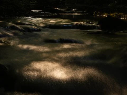 Dramatic Long Exposure of a Forest Stream in Sunlight Stock Photos
