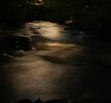 Dramatic Long Exposure of a Forest Stream in Sunlight Stock Photos
