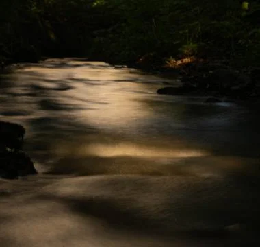 Dramatic Long Exposure of a Forest Stream in Sunlight Stock Photos