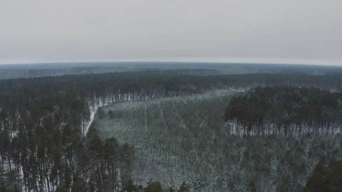 Dramatic look of a winter landscape with a forest.  Aerial view of the pine.. Stock Footage 303707307