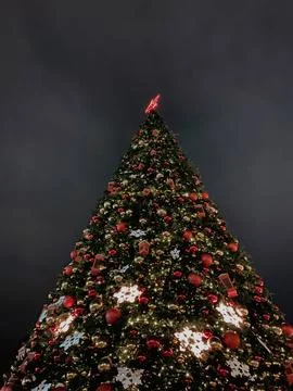 A dramatic low-angle, vertical shot of a massive outdoor Christmas tree illumina 스톡 사진