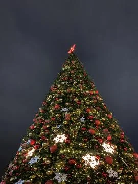 A dramatic low-angle, vertical shot of a massive outdoor Christmas tree illumina 스톡 사진