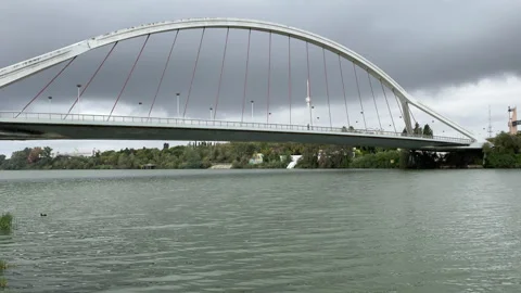 Dramatic low perspective beneath Barqueta bridge highlights its sweeping steel Stock Footage 325334421