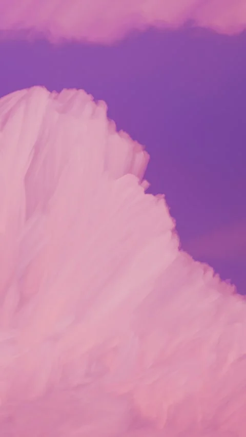 Dramatic Magenta Sky With Fluffy Clouds Silhouettes. Hyperlapse Unusual Abstract Stock Footage 303641669