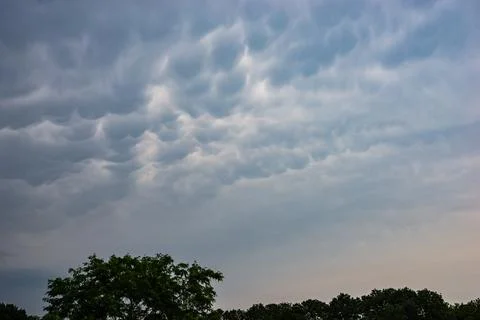 Dramatic mammatus cloud formation over tree line with soft evening light Stock Photos