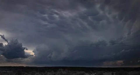 Dramatic Mammatus Clouds over Forest Before Summer Thunderstorm Stock Photos