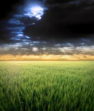 Dramatic meadows Foto stock