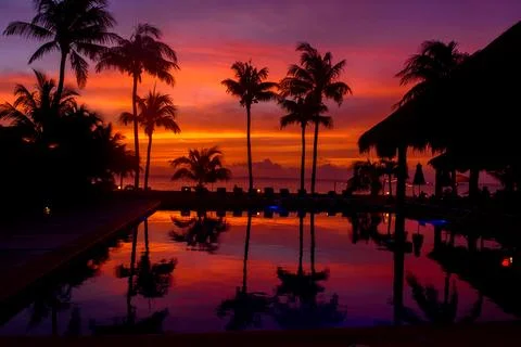 Dramatic mexican sunset reflected in infinity pool with palms Stock Photos