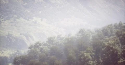 Dramatic mist covers rolling hills and trees in a peaceful landscape setting Stock Illustration