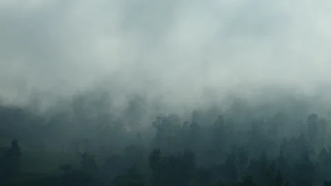 Dramatic mist movement in a tea plantation Stock-Footage 278535822