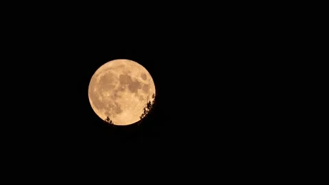 Dramatic Moonlight in this Full Moon Time-lapse. Stock Footage 138652643