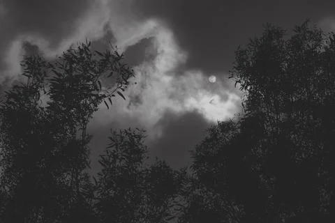 Dramatic moonlit clouds framed by trees Foto stock