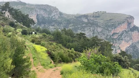 Dramatic mountain cliffs and green valley under cloudy sky, Muğla Turkey Stock Footage 333902214