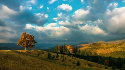 Dramatic mountain landscape, autumn forest hills, peaceful valley scene Video stock 311560727