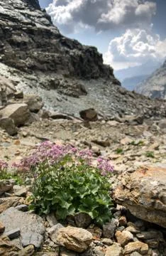 Dramatic mountain landscape Stock-Fotos