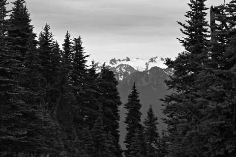 Dramatic mountain range with forest in foreground Stock-Fotos