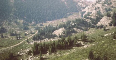 Dramatic mountains with dense forests and sunny winding trails Stock Illustration