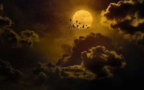 Dramatic mystical background - glowing full moon rises Фото