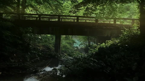 Dramatic mystical view of forest creek flowing under old stone bridge Video stock 261268392