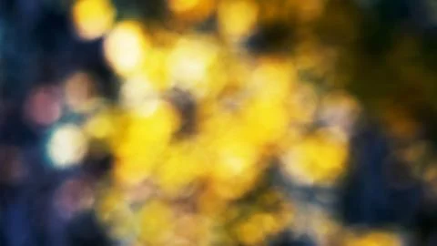 Dramatic natural abstraction Stock Illustration