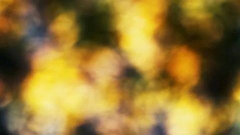 Dramatic natural abstraction Stock Illustration