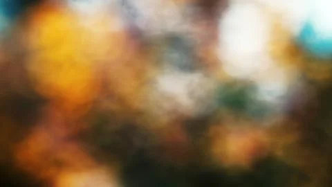 Dramatic natural abstraction Stock Illustration