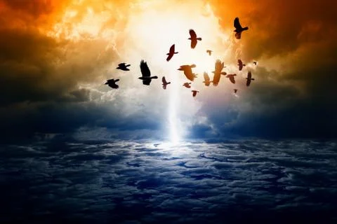 Dramatic nature background Illustrazione stock