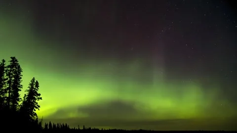 Dramatic Northern Lights flash and ripple across a star-filled sky in a vivid Stock Footage 329072137