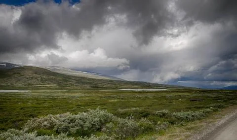 Dramatic norwegian landscape in cold summer Stock Photos