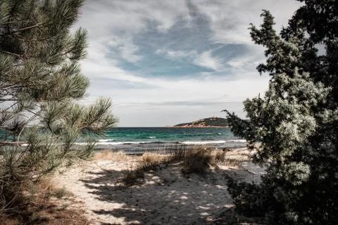 Dramatic ocean beach scene Stock Photos